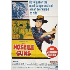 HOSTILE GUNS (1967)